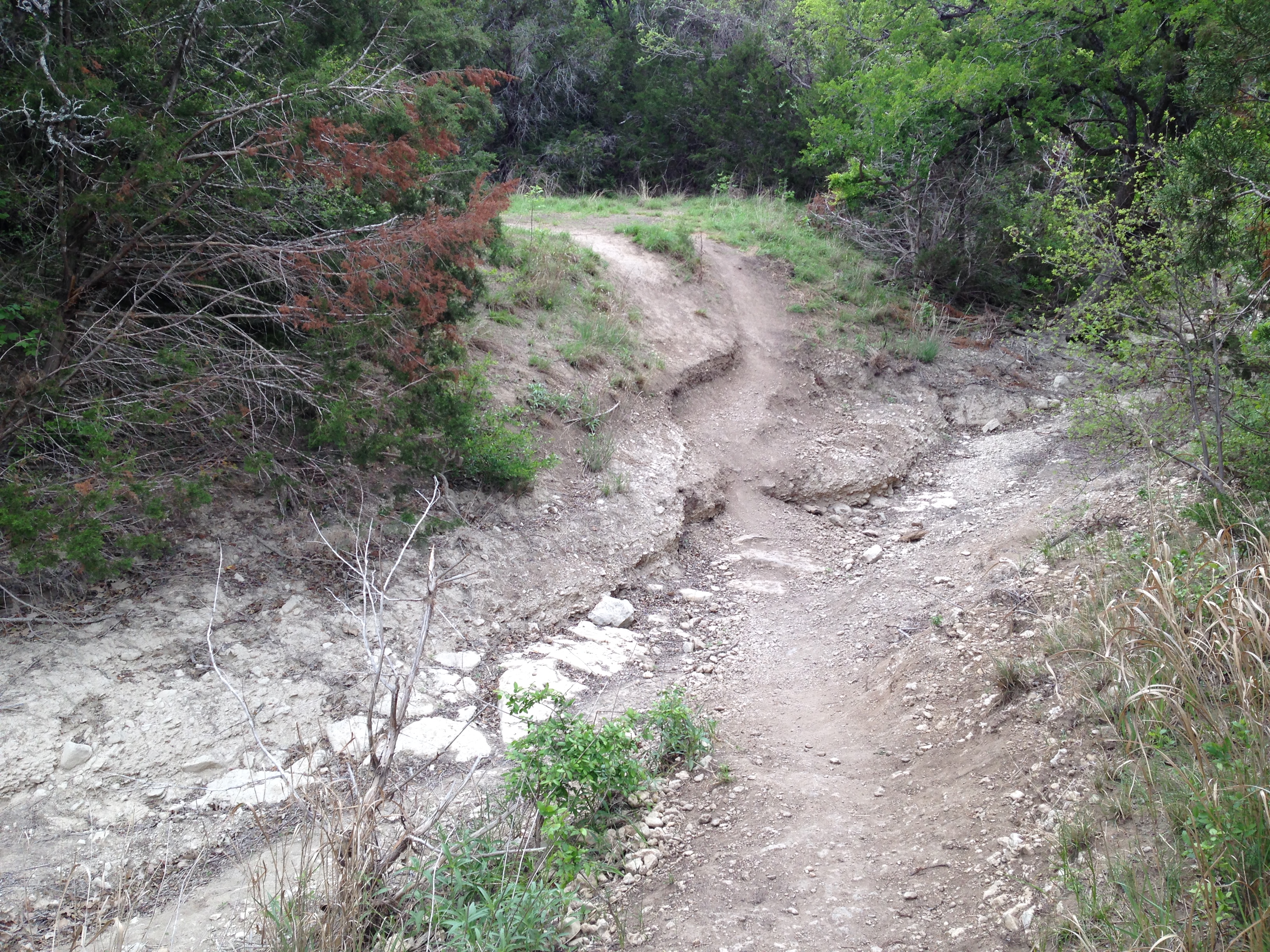 The metropolitan park trail crosses Slaughter Creek with a short, steep, descent. It'll be awhile before I can ride it.
