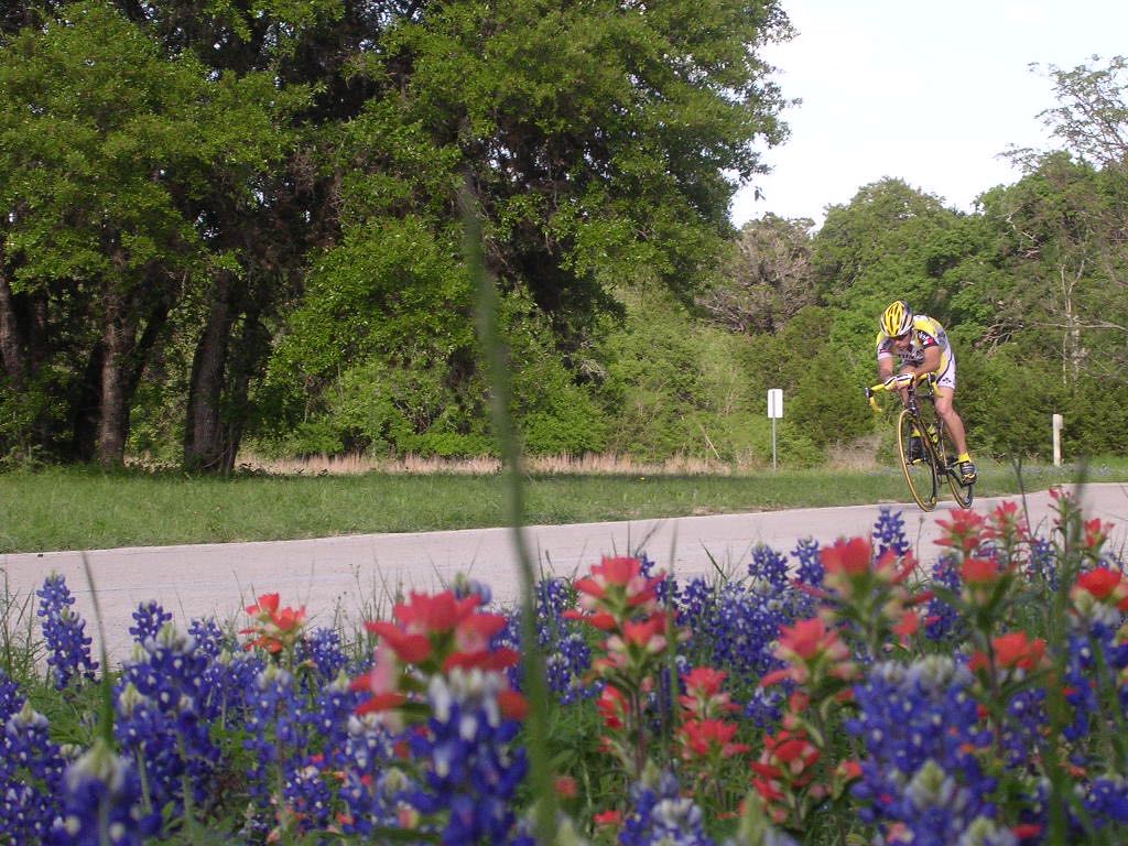 Bluebonnets and Indian Paintbrush set off a MAMIL along a back stretch of the Veloway.